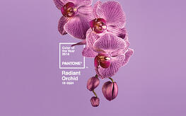 RadiantOrchid RadiantOrchid