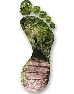 green with tradeshows